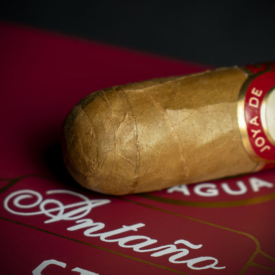 20 Box - Joya de Nicaragua Antaño CT Robusto Cigars