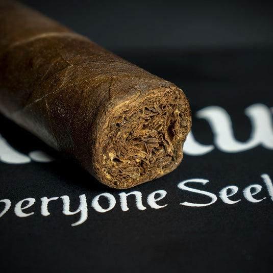 Asylum 13 CLE Nicaragua Short Corona Cigar