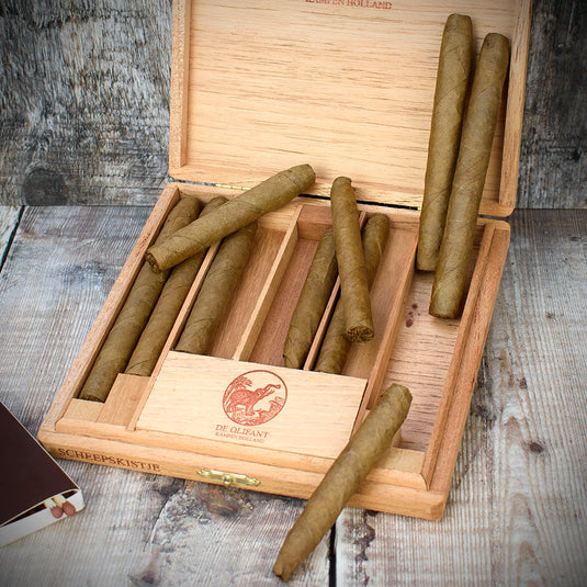 10 Box - De Olifant Dutch Cigars Scheepskitje