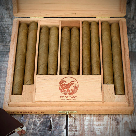 10 Box - De Olifant Dutch Cigars Scheepskitje