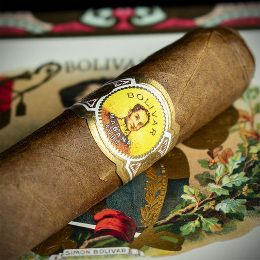 Bolivar Petit Coronas Cuban Cigar - Single