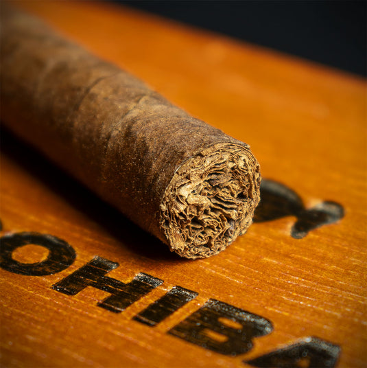 Cohiba Panetelas Cuban Cigar - Single