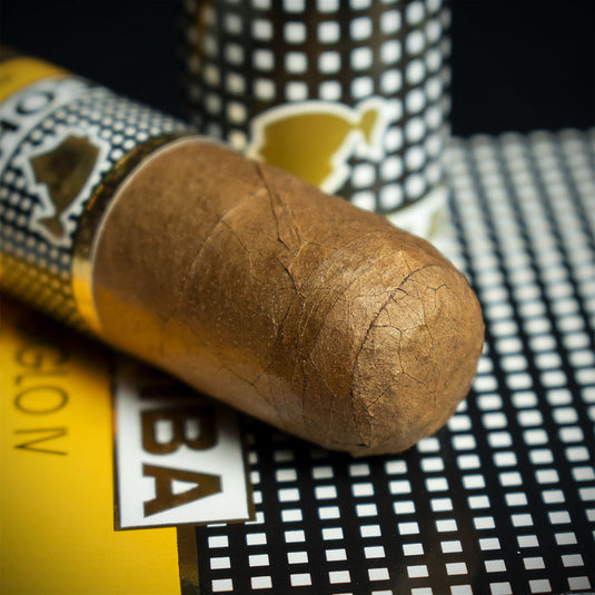 Cohiba Siglo IV Tubos Cuban Cigar - Single