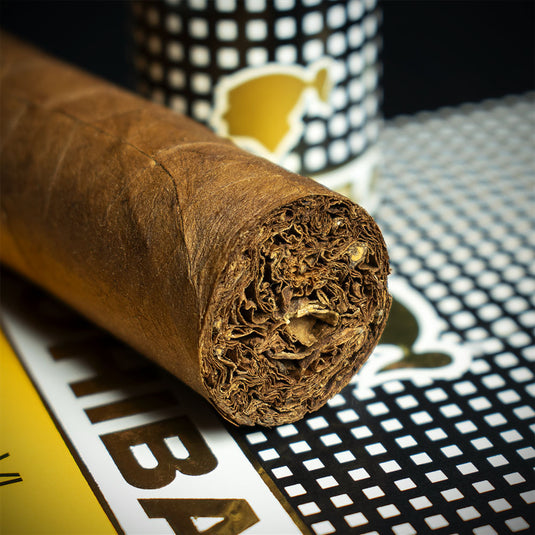 Cohiba Siglo VI Tubos Cuban Cigar - Single