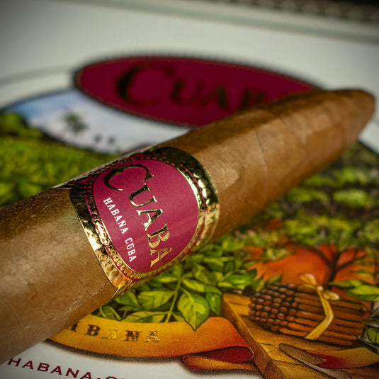 Cuaba Exclusivos Cuban Cigar - Single