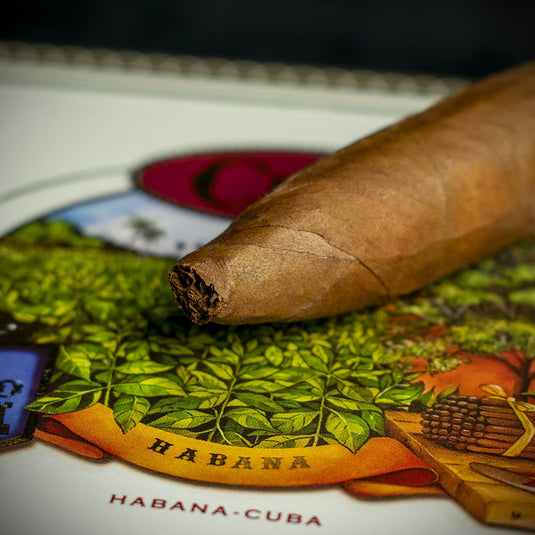 Cuaba Exclusivos Cuban Cigar - Single