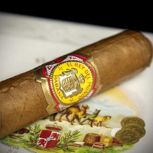 El Rey del Mundo Demi Tasse Cuban Cigar - Single