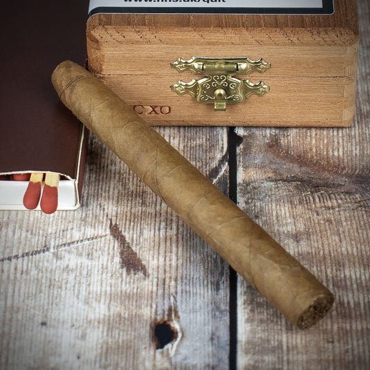 10 Box - De Olifant Dutch Cigars VOC XO