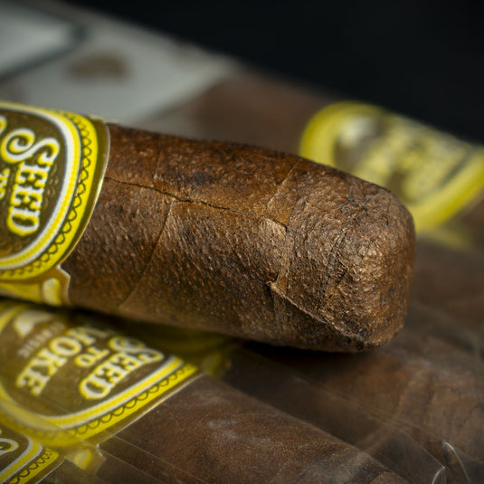 Rocky Patel Seed to Smoke Classic Maduro Toro Cigar – Single