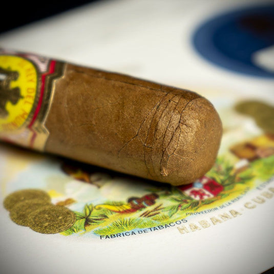 El Rey del Mundo Demi Tasse Cuban Cigar - Single