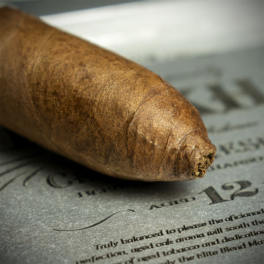 Gurkha Cellar Reserve 12 YO Platinum Solara Double Robusto Cigar - Single