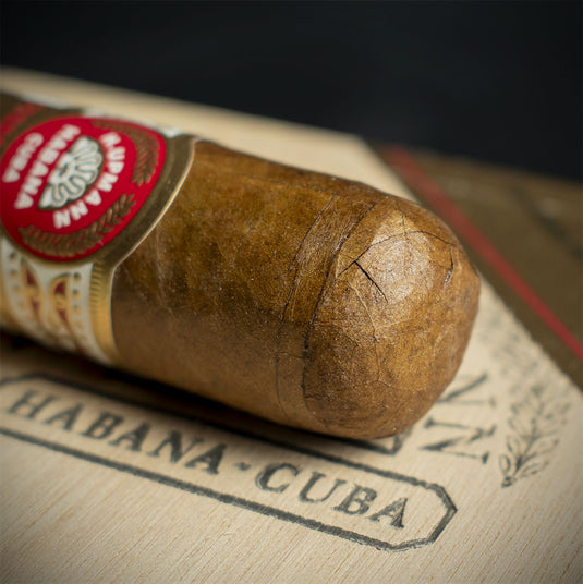 H. Upmann Connoisseur B Cuban Cigar - Single