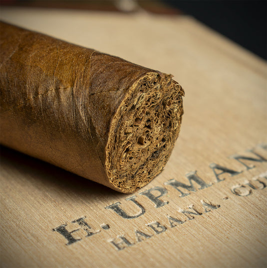 H. Upmann Connoisseur B Cuban Cigar - Single