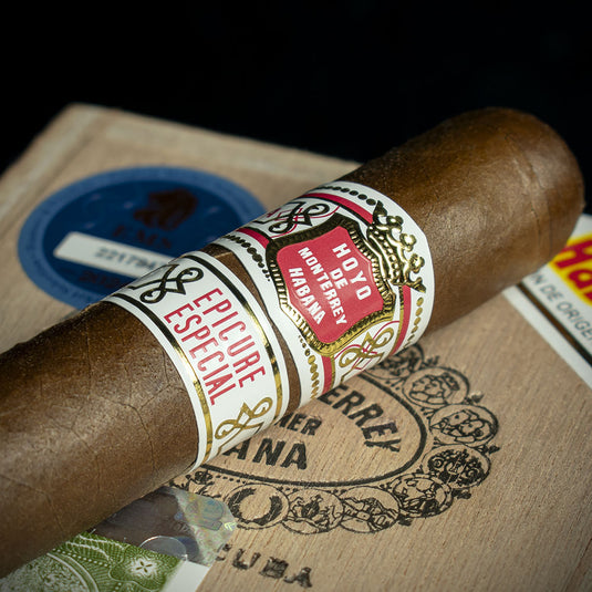 Hoyo de Monterrey Epicure Especial Cuban Cigar - Single