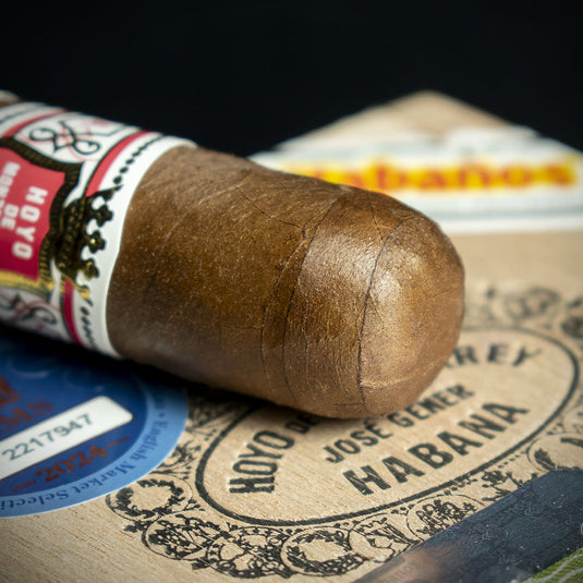 Hoyo de Monterrey Epicure Especial Cuban Cigar - Single