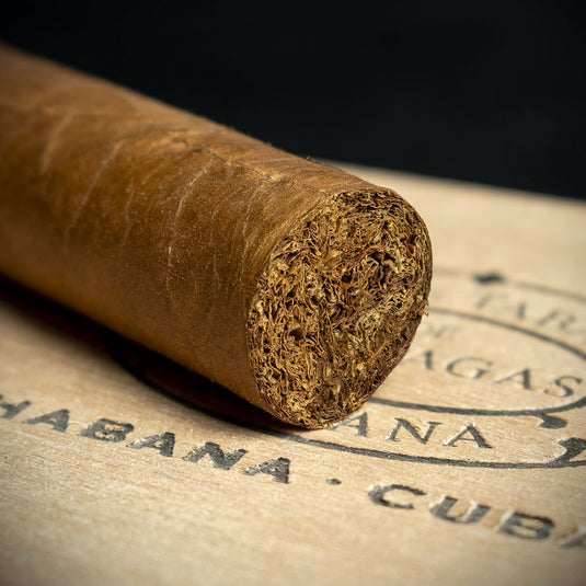 Partagas Serie P No.2 - Box of 10 Cuban Cigars