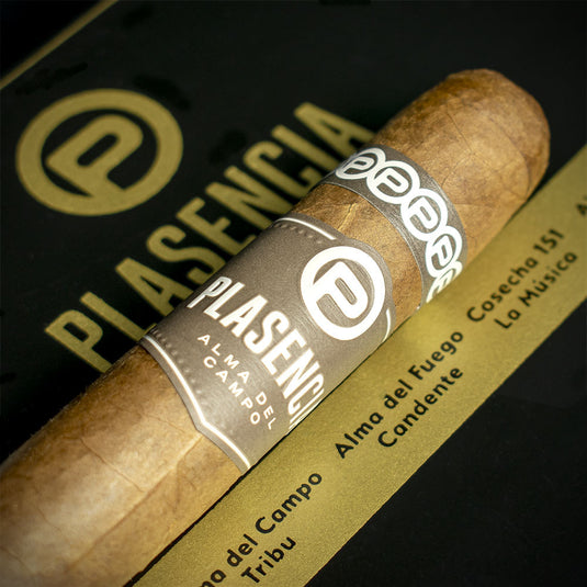 Plasencia Limited Edition Robusto Sampler - 6 Cigars