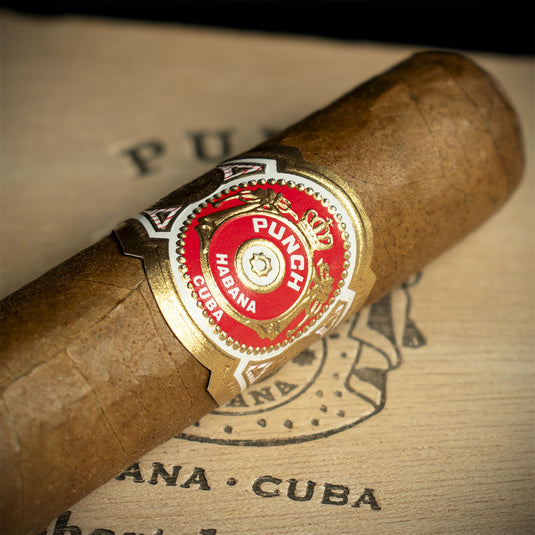 Punch Short de Punch Cuban Cigar - Single