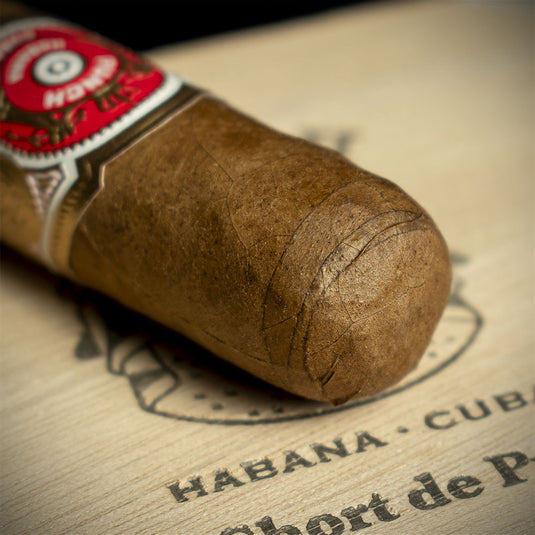 Punch Short de Punch Cuban Cigar - Single