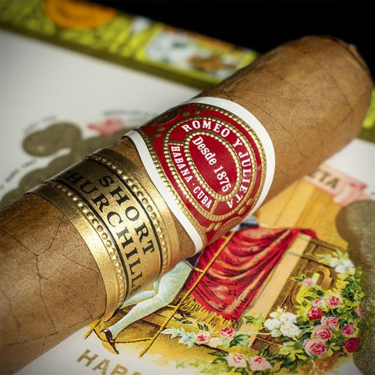 Romeo y Julieta Short Churchill Cuban Cigar - Single