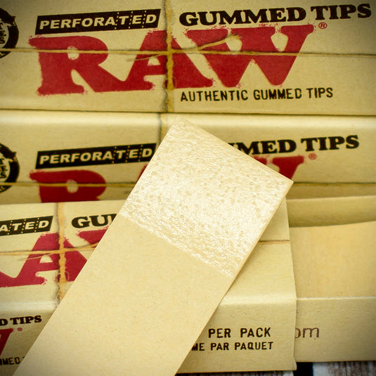 Raw | Gummed Perforated Tips x 3